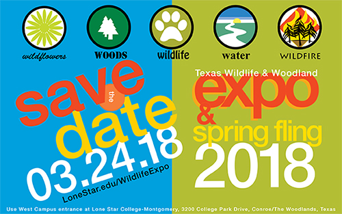 Texas Wildlife & Woodland Expo postcard