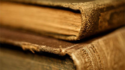 Developmental Studies Developmental Studies
