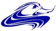 Sports Logo