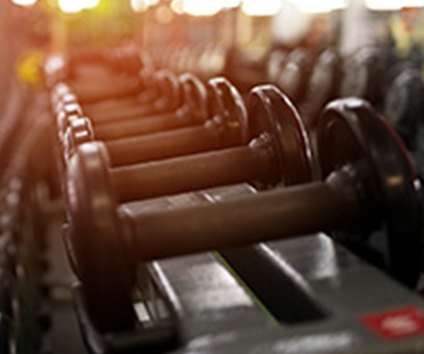 Weights lined up on a rack.