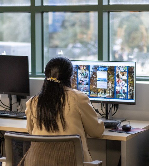 Photo of Woman at Computer