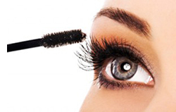 LSC-Kingwood Cosmetology Department LSC-Kingwood Cosmetology Department