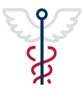 Health plan Icon