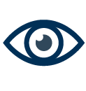 Vision Icon