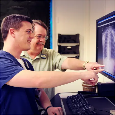 2 people pointing their finger at an x-ray