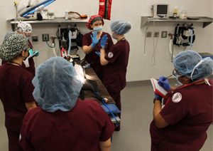 Students prepare for surgery and gather information from our program veterinarian in their Surgery and Anesthesia class. 
