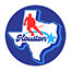 Houston Hockey Community logo