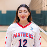 volleyball player in number 12 jersey