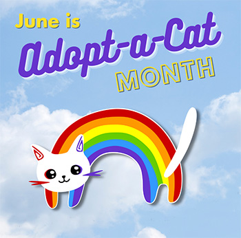 June is Adopt-A-Cat Month!