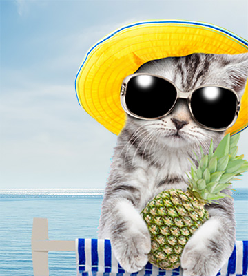 Cool cat with sunglasses and wide-brimmed hat, holding a pineapple and relaxing on the beach. 